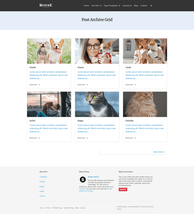 Rescue Post Archive Grid